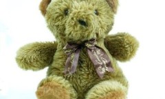 Hidden Nanny Cam Disguized As A Teddy